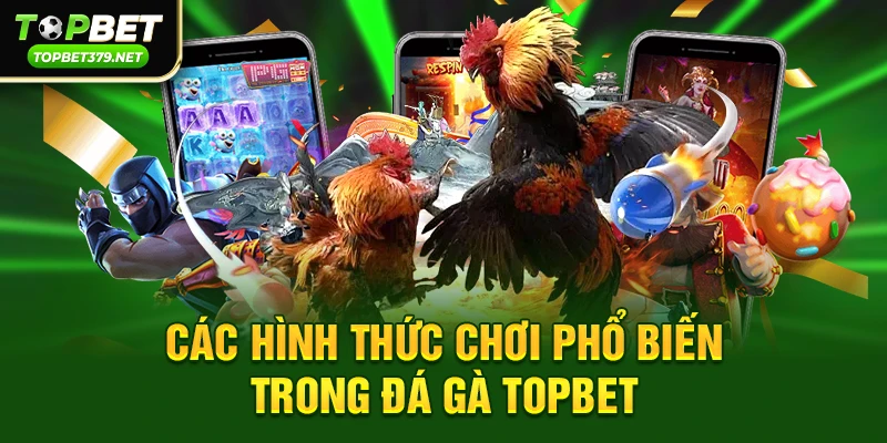 Các hình thức chơi phổ biến trong Đá gà topbet