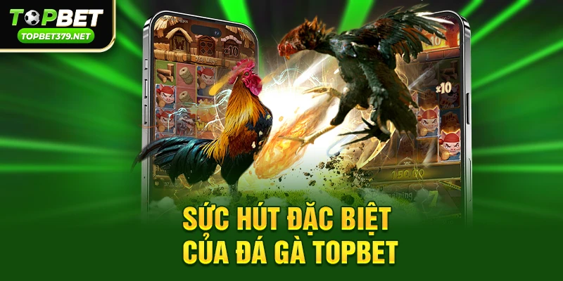 Sức hút đặc biệt của Đá gà topbet trong cộng đồng game thủ